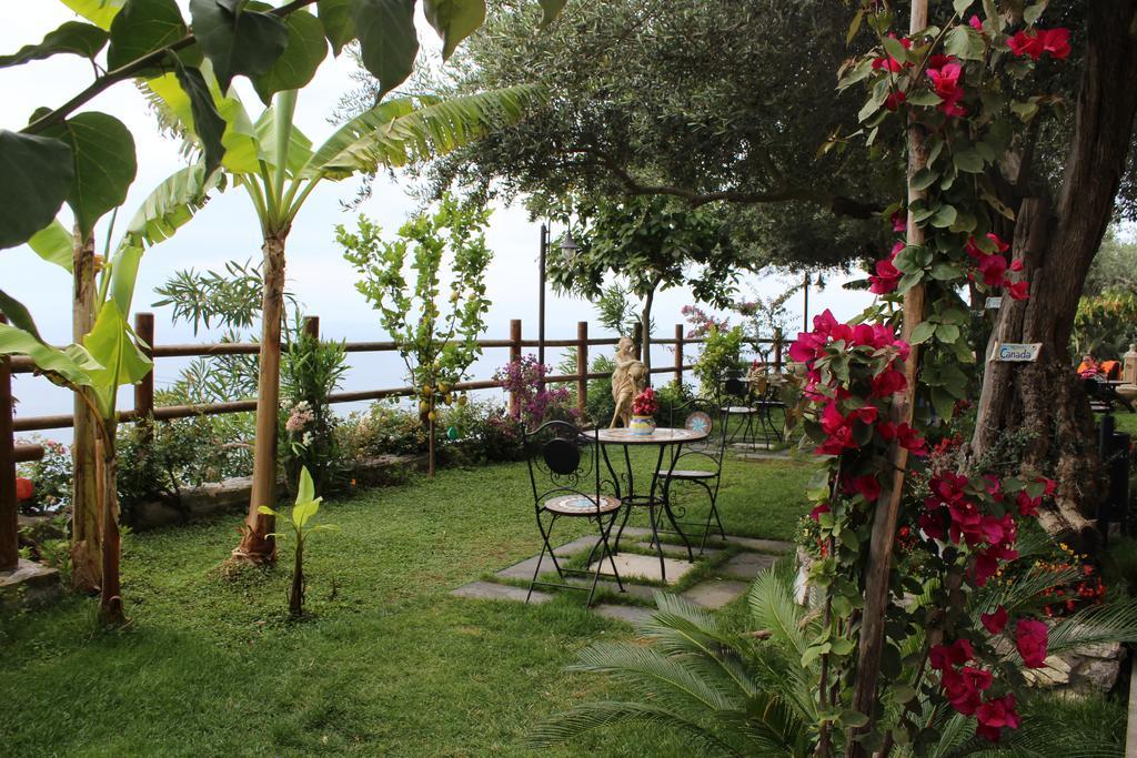 World Center Bed & Breakfast Amalfi Ngoại thất bức ảnh